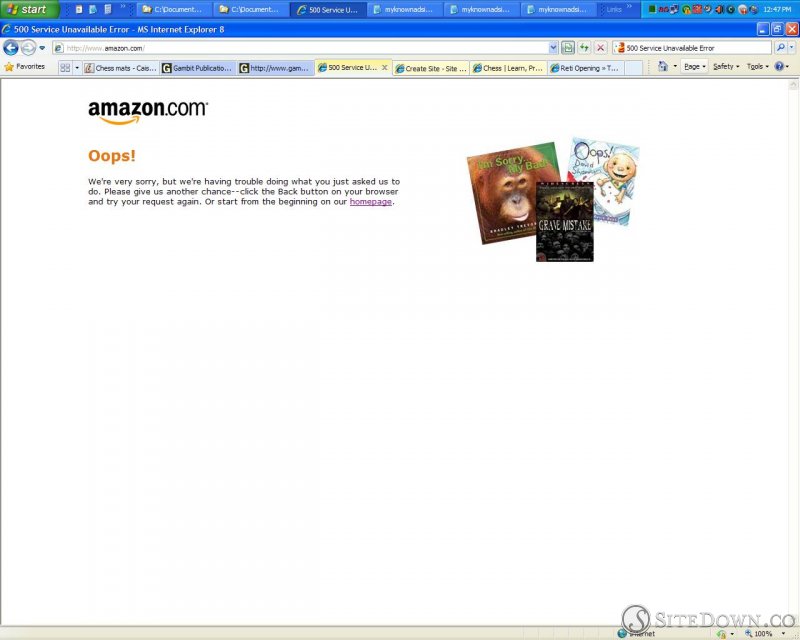 Again, the Amazon.com 500 Service Unavailable Error. On 2013/07/03, Wed