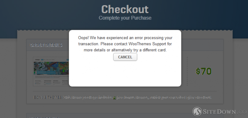 Oops! We have experienced an error processing your transaction