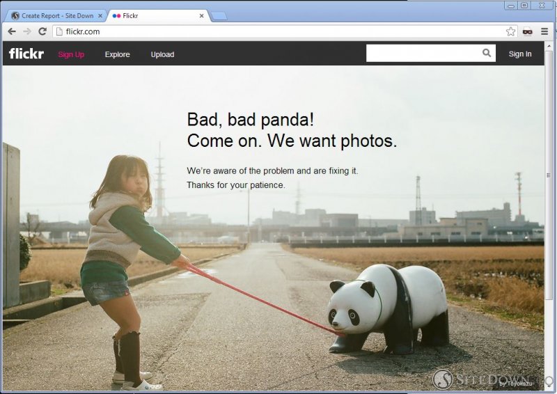 Bad, bad panda! Come on. We want photos. We’re aware of the problem and are fixing it. Thanks for your patience.
