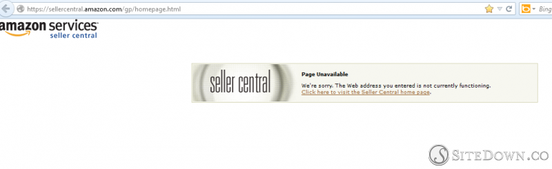 Amazon Seller Central is down